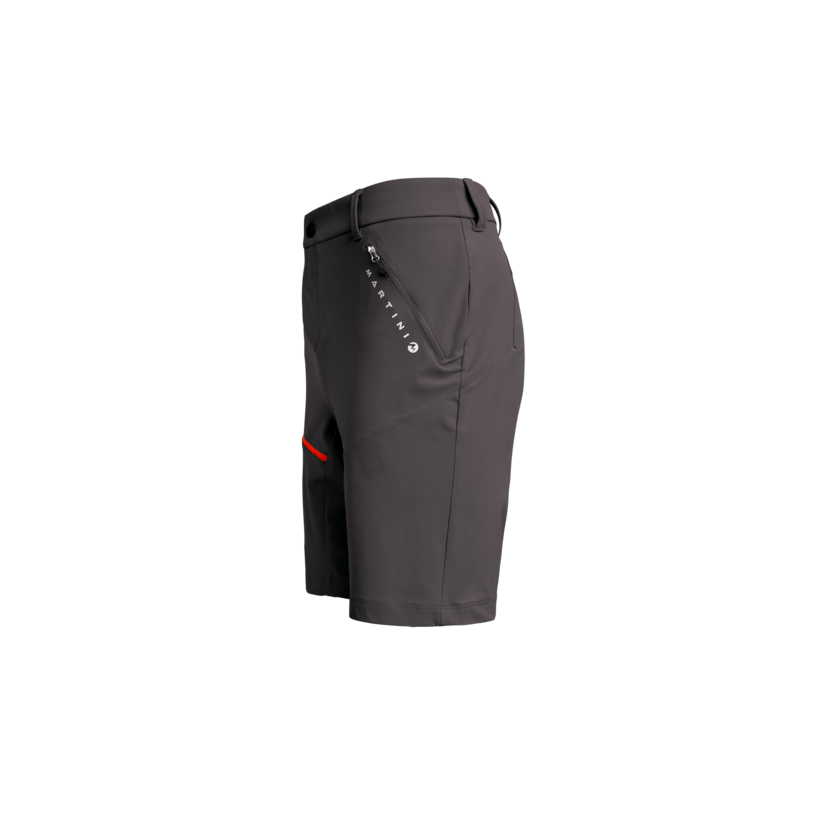 Martini Sportswear - DYNAMO - Kurze Hosen in steel-flash - product.alttext.Seitenansicht - Herren