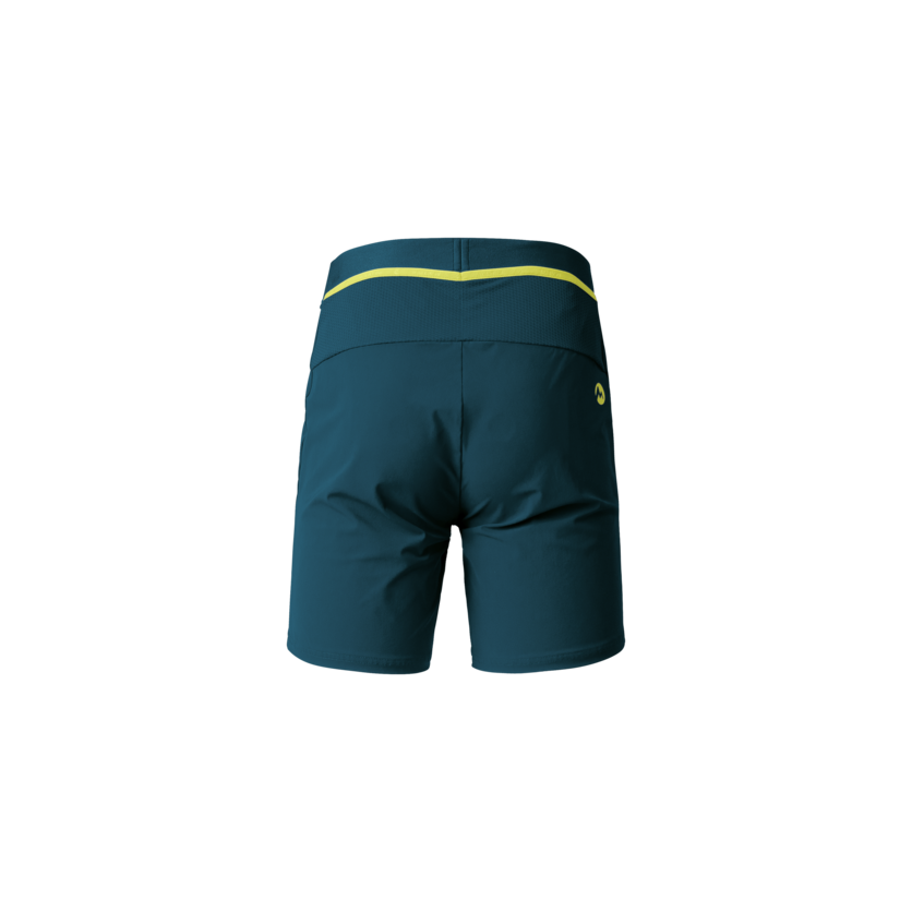 Martini Sportswear - PACEMAKER Shorts M - Kurze Hosen in poseidon-greenery - product.alttext.Rückansicht - Herren